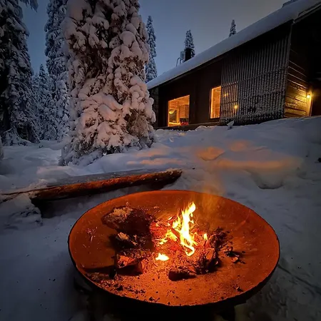 Handcrafted Log Aarreaitta Villa *